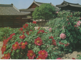 Delcampe - Photo Cpsm Grand Format Corée Korea Töksugung Palace - Korea (Süd)