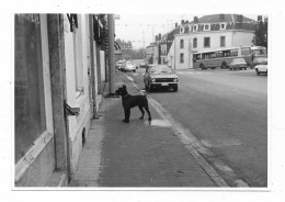PHOTO BERTRIX, AUTOS VOITURES ANCIENNES, BUS AUTOBUS CARS, BELGIQUE - Libramont-Chevigny