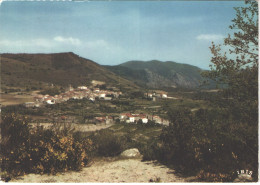 FR66 SOURNIA - CPM 10 * 15 - Vue Générale  Belle - Sournia