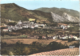 FR66 SOURNIA - CPSM 10 * 15 - Vue Générale  Belle - Sournia