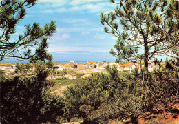 [-5%] FRANCE - Quend Plage Les Pins - Vue Sur La Mer Au Loin - Vue Densemble - Carte Postale - Quend