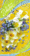 RUSSIA # POSTAL CARD FROM 2008 - Autres & Non Classés