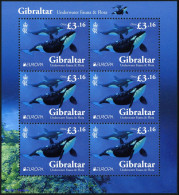 Delcampe - 2024, Gibraltar, 2155-56 KB, ** - Gibraltar