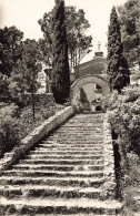 [-5%] FRANCE - Cotignac (Var) - Escalier Louis XIV - Gillet M., Brignoles - Carte Postale - Cotignac