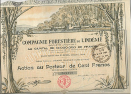 COMPAGNIE FORESTIERE DE L'INDENIE -GRAND BASSAM  COTE D'IVOIRE - ACTION DE 100 FRS ANNEE 1928 - Afrika
