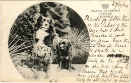 T2/T3 1904 Zampach (Hnátnice), Chateau De Zampach / Castle, Dogs Of The Owner (EK) - Unclassified