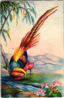 * T2/T3 Pheasant. Amag 0284. - Unclassified