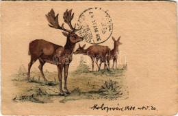T2/T3 1908 Gímszarvasok / Red Deers, Stag And Hinds - Unclassified