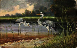 ** T2/T3 Reiher / Heron. T.S.N. Serie 827. (fl) - Unclassified