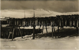* T2 1935 Fisken Torres / Norwegian Fish Drying - Unclassified