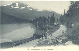 Campferersee Und Piz Corvatsch - Celerina/Schlarigna