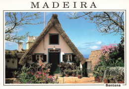 [-5%] PORTUGAL - Madeira - Santana - Casa Tipica - Maison Typique - Typical House - Carte Postale - Madeira