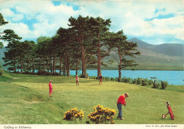 [-5%] IRLANDE - Kerry - Golfing In Killarney - Photo: R Beer, John Hinde Studios - Golfing In Ireland - Carte Postale - Kerry