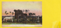 Carreta De Cana De Cuba - Cuba