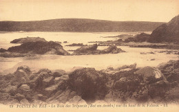 [-5%] FRANCE - Pointe Du Raz - La Baie Des Trépassés Vue Du Haut De La Falaise - LL - Vue Générale - Carte Postale - La Pointe Du Raz