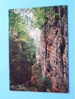 Delcampe - Wolfschlucht - Gorge Du Loup > ECHTERNACH ( Edit.: Kraus - 316 ) Anno 19?? ( Zie / Voir SCANS ) ! - Echternach