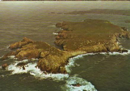 Delcampe - Île D'Ouessant   G28    CPM 10X15             Au Nord De L'île, La Petite île Kellen - Ouessant