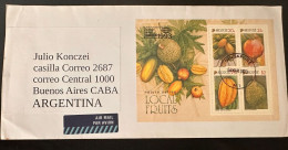 Delcampe - CM) 2023. SINGAPORE. FRUIT STAMP BLOCK. ENVELOPE SENT ARGENTINA. XF - Singapur