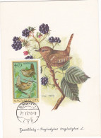 Delcampe - Carte Maximum Hongrie Oiseau Bird 1973 - Maximumkarten (MC)