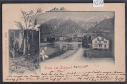 Bönigen : Gruss Aus Bönigen ! Mit Hotel Pension De La Gare Et Hotel Pension Bellerive (17'581) - Bönigen