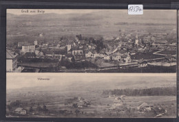 Gruss Aus Belp : Ansicht Und Viehweide (17'584) - Belp