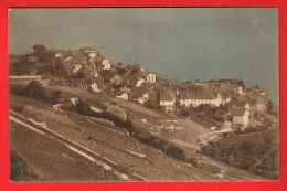 ZZF-14  Rivaz Lavaux Vue Générale, Léman, Sepia.  Seal 205 B. Circ. Sous Enveloppe - Rivaz