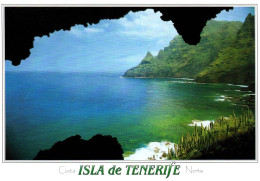 Delcampe - (RECTO / VERSO) ESPAGNE - ISLA DE TENERIFE - COSTA NORTE - BEAU TIMBRE - CPM GF - Tenerife