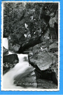 Delcampe - C419, Gorges De L'Avançon, 1656, Perrochet, Non Circulée - Bex