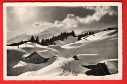 ZZG-07 Crans-Montana Plan-Mayens, En Hiver. Haut-de-Cry. Dubost 202  NC - Crans-Montana