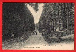 ZZG-21  Ballaigues  Bois De Ban. ANIME. Tampon Hotel Aurore. Circ. Vers Vienne Autriche En 1906 - Ballaigues