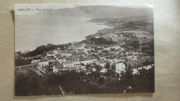 ALGERIE  DELLYS VUE GENERALE - Other & Unclassified