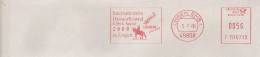 EMA ALLEMAGNE DEUTSCHLAND GERMANY CHEVAL PFERD PAARD HORSE DRESSSAGE DRESSUR LINGEN EMS 2000 - Jumping