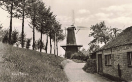 Hulst Molen 6057 - Hulst