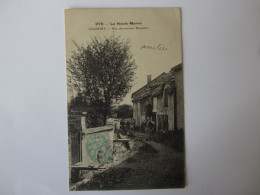 CPA   HAUTE MARNE   VIGNORY RUE DES ANCIENS REMPARTS - Vignory