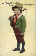 A. Small Irish From  Limerick  Carte A Systeme Multivues  (12) - Limerick