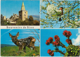 Delcampe - Souvenirs De Sion - (Schweiz/Suisse/Svizzera) - 1981 - Sion