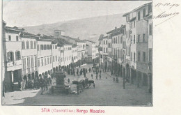 Delcampe - TOSCANA - Arezzo Prov. - Stia (Casentino) - Borgo Maestro - - Arezzo