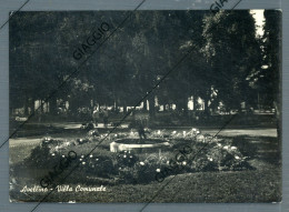 Delcampe - °°° Cartolina N. 1325 - Avellino Villa Comunale Viaggiata °°° - Avellino