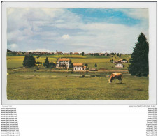Montfaucon  Jb  ( Le Noirmont ) Vache ( Format C.P.A )( Recto Verso ) - Le Noirmont