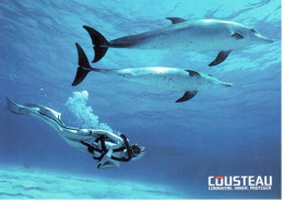 CP Equipe Cousteau Dauphins Et Plongeur - Delphine