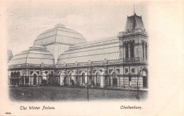 CHELTENHAM ~ WINTER PALACE ~ A VINTAGE POSTCARD #243325 - Cheltenham