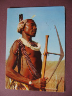 CPSM SWAZILAND Guerrier Swazi Warrior PUBLICITAIRE Préimprimée PROSPECTION Sud Africaine AMORA AFRIQUE DU SUD 1956 Ou 66 - Swaziland