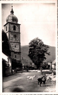 Delcampe - 68 - SAINT AMARIN / PLACE MARECHAL FOCH - CHEVRES SE RENDANT AU PATURAGE - Saint Amarin