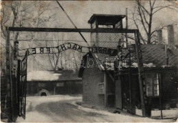 * T3 Oswiecim, Auschwitz; Entrance Gate To The Concentration Camp "Arbeit Macht Frei" - MODERN (fl) - Unclassified