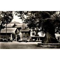 Delcampe - 74340 - SAMOENS - Les Saix - Place Du Gros Tilleul - Samoëns