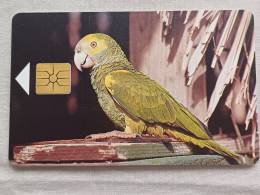 BONAIRE - TBO-0003B - PARROT - Sonstige - Amerika