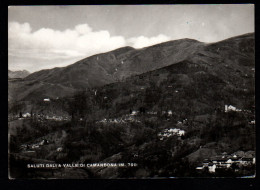 Delcampe - 1959 - SALUTI DALLA VALLE DI CAMANDONA - ITALIE - Biella