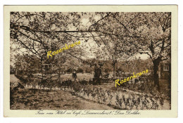 Delcampe - Tuin Van Hotel En Café Leuwenhorst De Dolder - Zeist - Utrecht - Ansichtkaart Nederland - Zeist