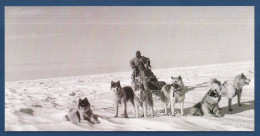 Delcampe - TAAF - Carte Postale - Chiens De Traineau - Expéditions Polaires Françaises - TAAF : Franse Zuidpoolgewesten