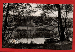 (RECTO / VERSO) WALDSIEVERSDORF  - AM GROSSEN DABER SEE - BEAU TIMBRE ET CACHET DDR - FORMAT CPA - Oderberg